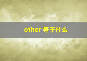 other 等于什么